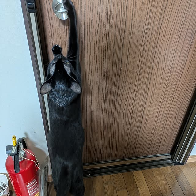 asaさんの部屋