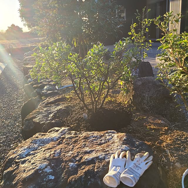 Rubiconさんの部屋