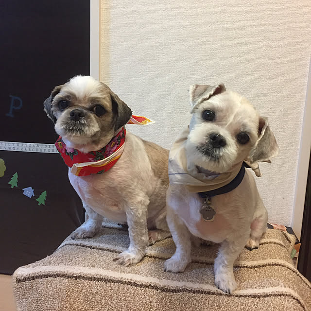 emiさんの実例写真