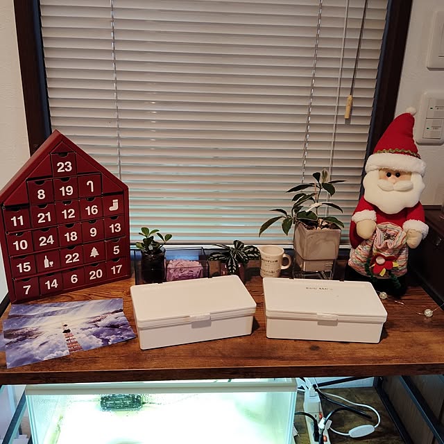 momomamaさんの実例写真