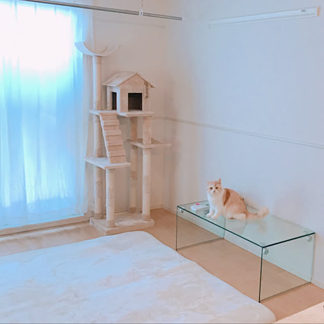 H.Tさんの実例写真