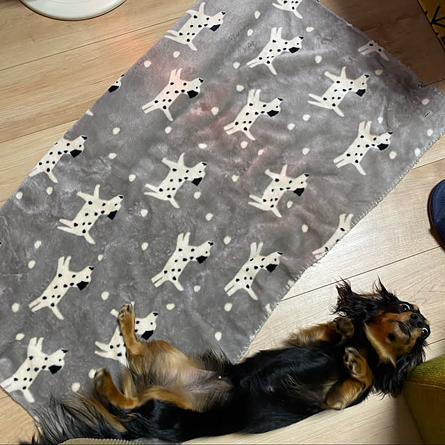 uninekoさんの実例写真