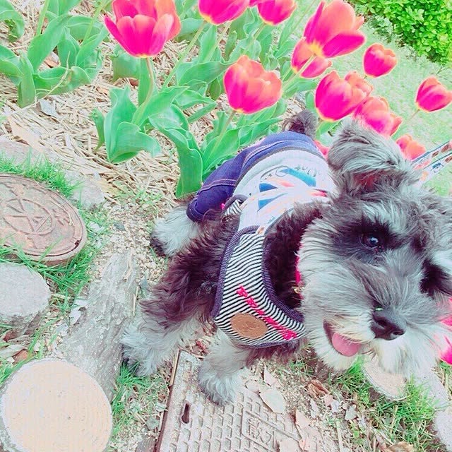 tamaeさんの実例写真