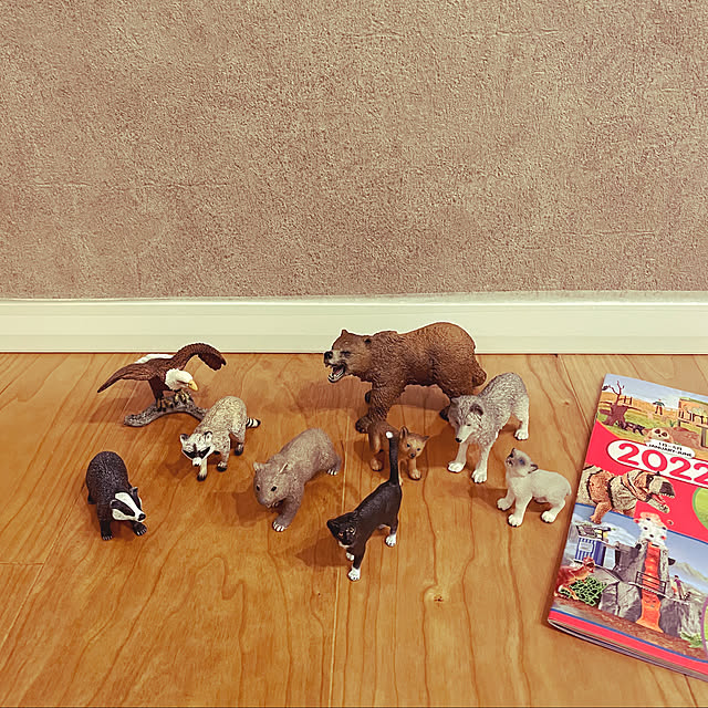 kaichannさんの実例写真