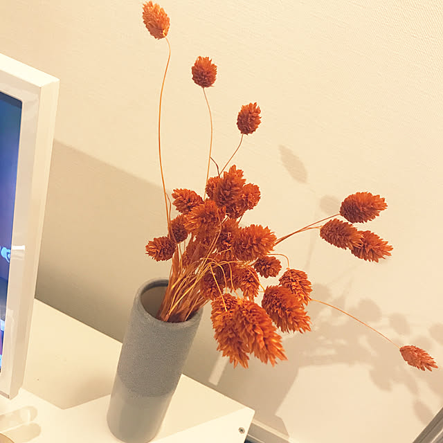ナチュラル/一人暮らし/観葉植物/カフェ風/リビングのインテリア実例 - 2019-10-30 02:13:42
