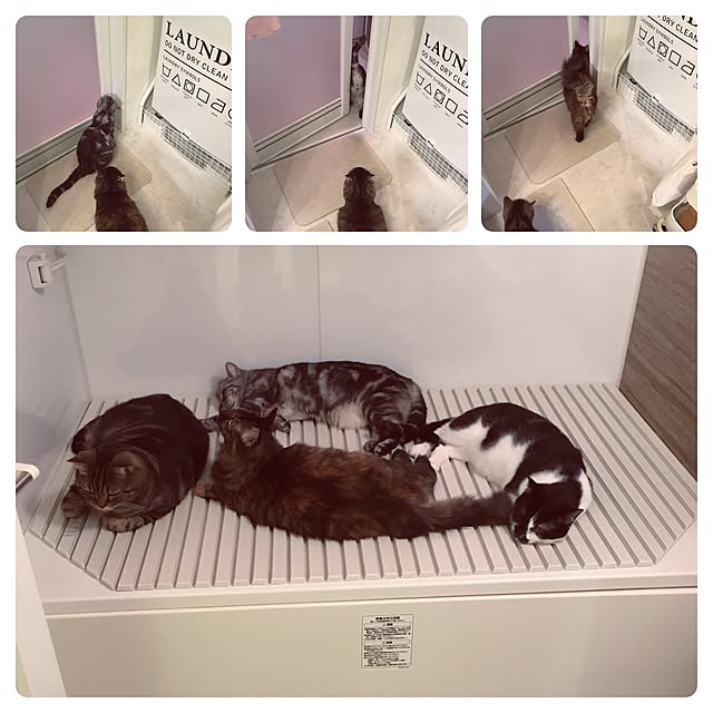 mikomaruさんの実例写真
