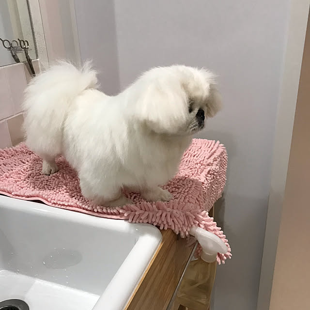 2500さんの実例写真