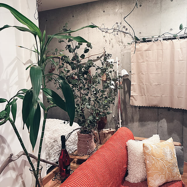 olive18さんの実例写真