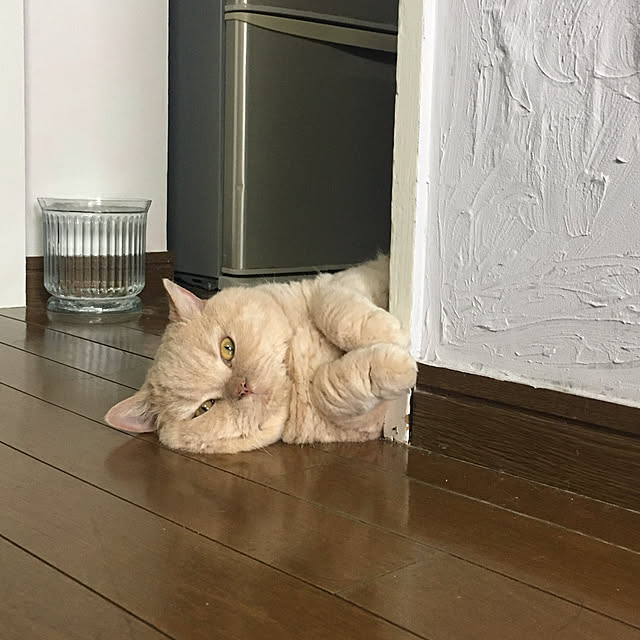 naokoさんの実例写真