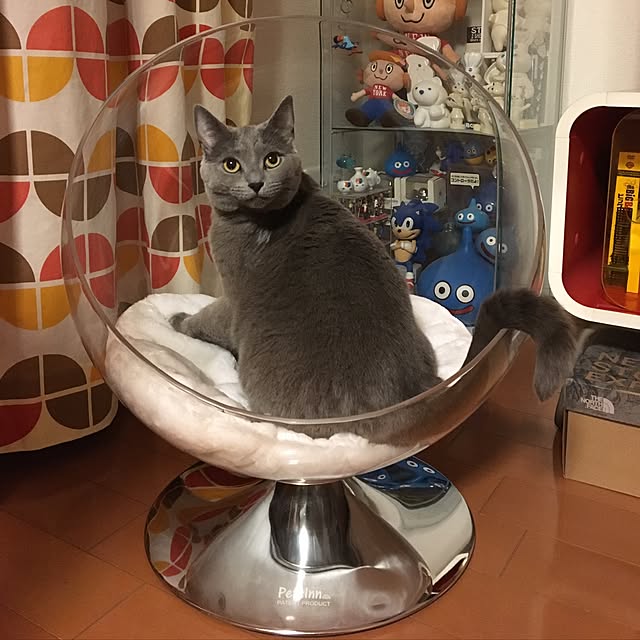 ikettenさんの実例写真