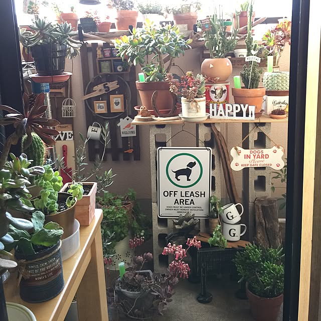 実例写真