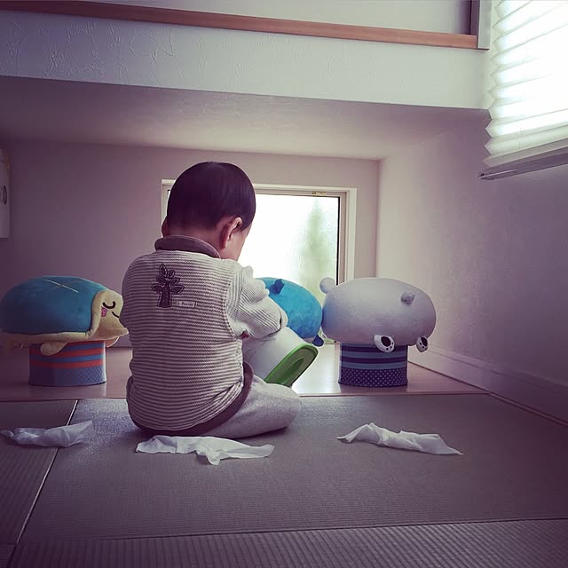 実例写真
