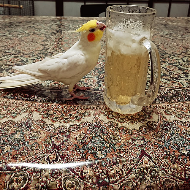 MIUOOさんの実例写真