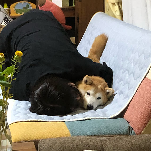 naru.miku.720さんの実例写真