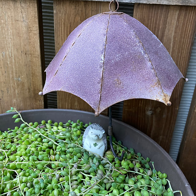 okkunさんの実例写真