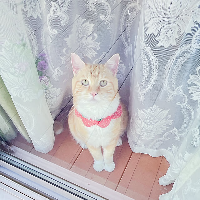 moolさんの部屋