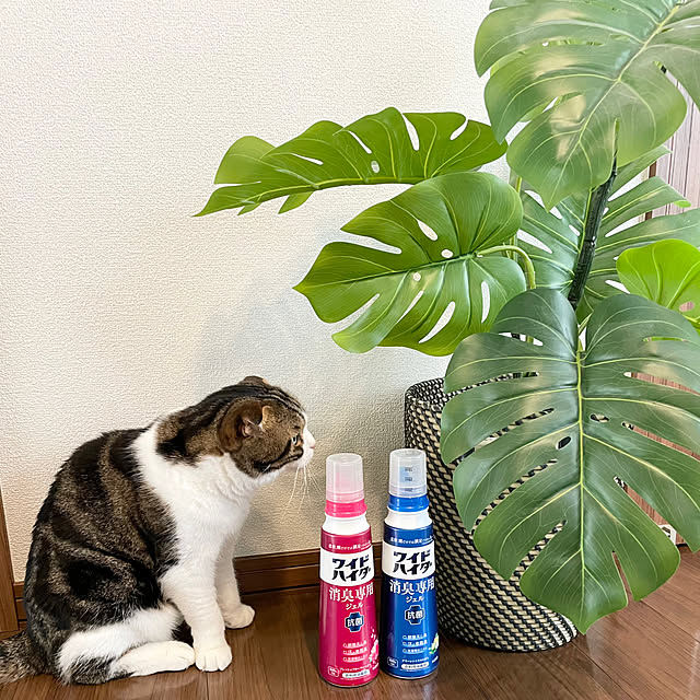 tansukeさんの実例写真