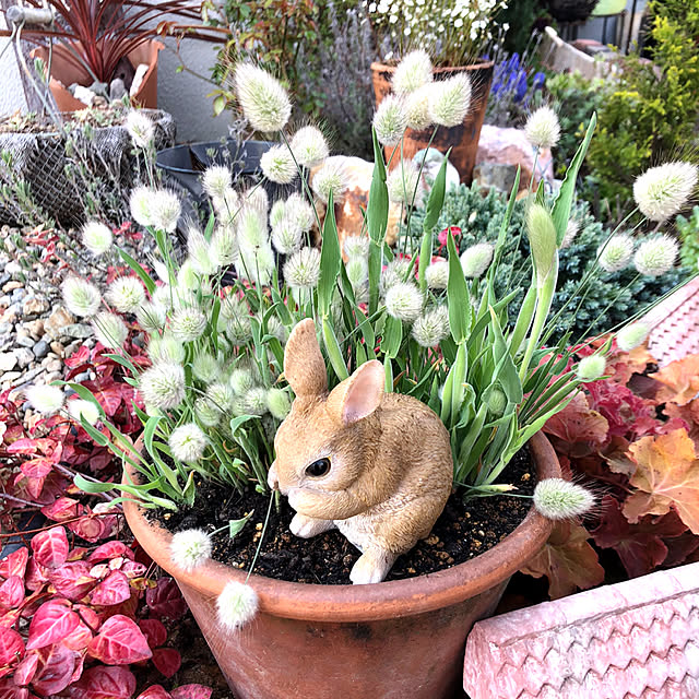 ponponHOUSEさんの実例写真