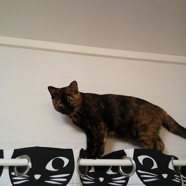 tiduruさんの実例写真