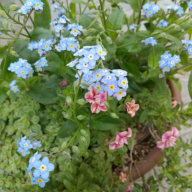 Rさんの実例写真