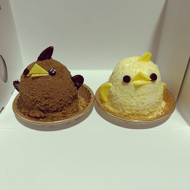 実例写真