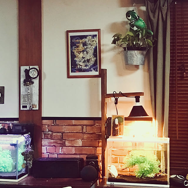 maroさんの部屋