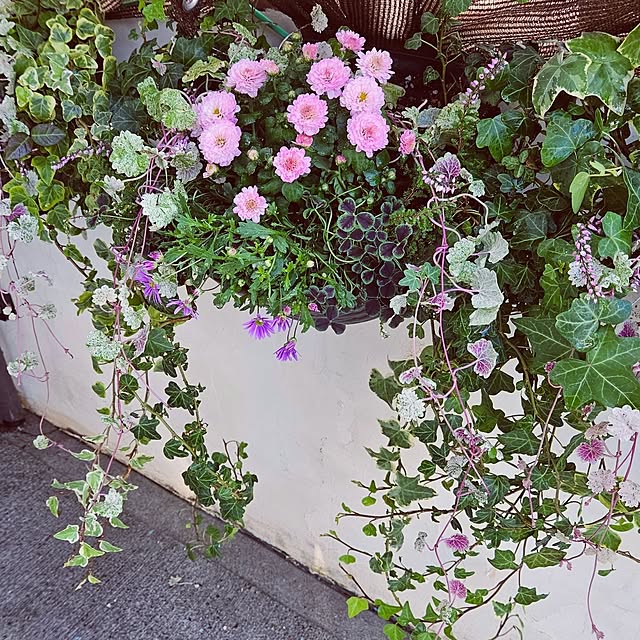 mocomocoさんの部屋