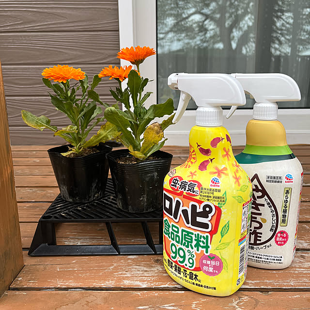 mogumoguさんの実例写真