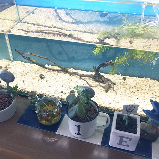 Yuukoさんの実例写真