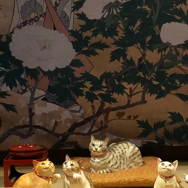 Toruさんの部屋