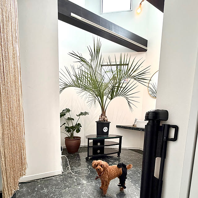 MOMOMAMAさんの実例写真