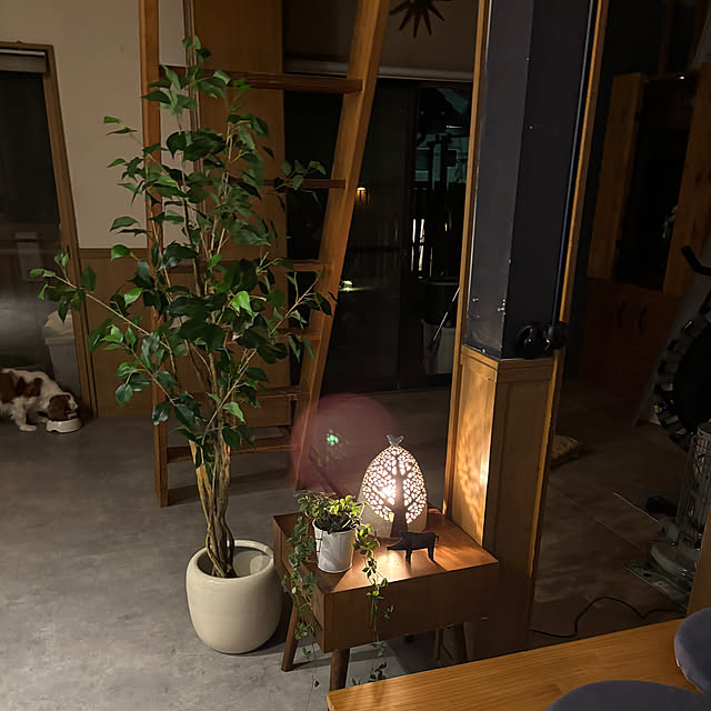 taeoさんの部屋