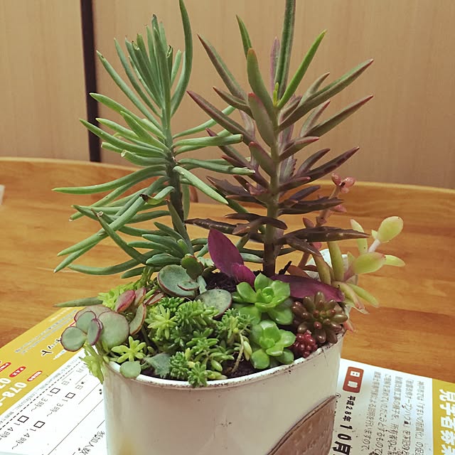 実例写真