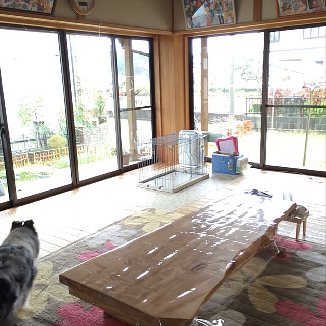 実例写真