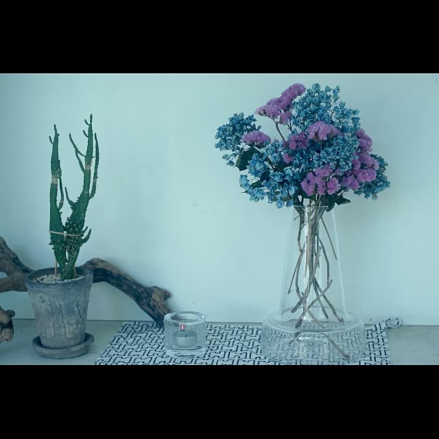 Design papa Ka-tuさんの実例写真