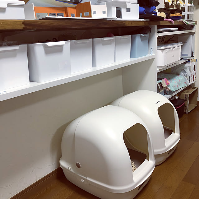 NARU_Monaさんの実例写真