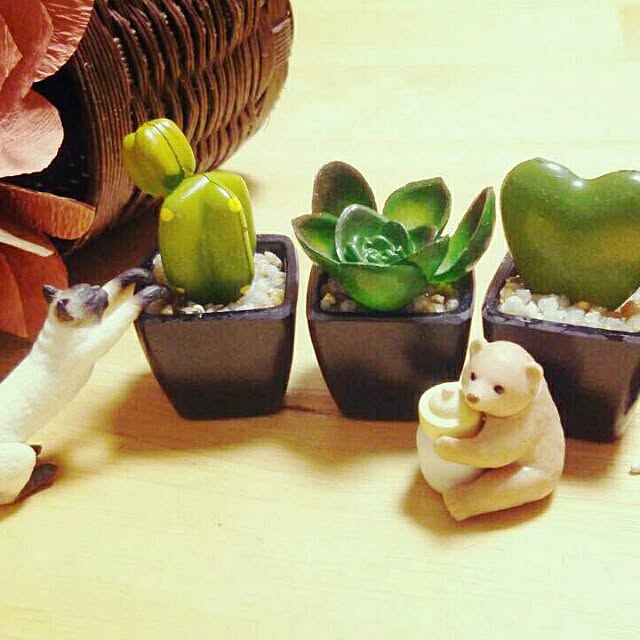 oooHiNaTaoooさんの実例写真
