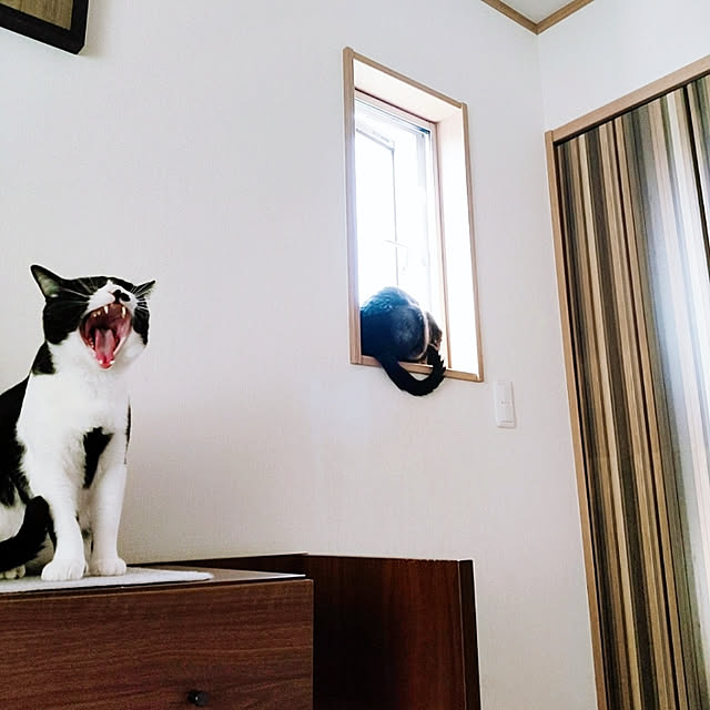 kirakirahikaruさんの実例写真