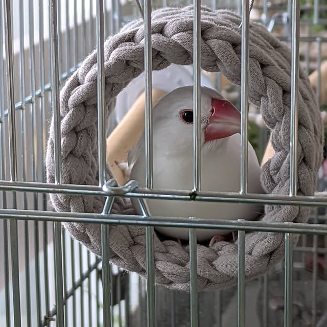 escargotさんの実例写真