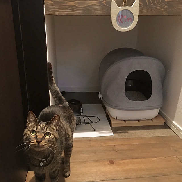 ayataroさんの実例写真