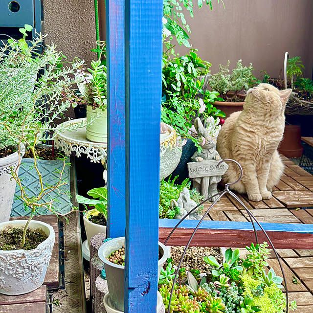 naokoさんの部屋