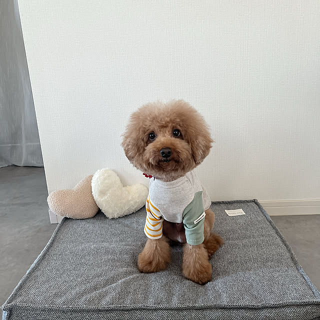 cocoaさんの部屋