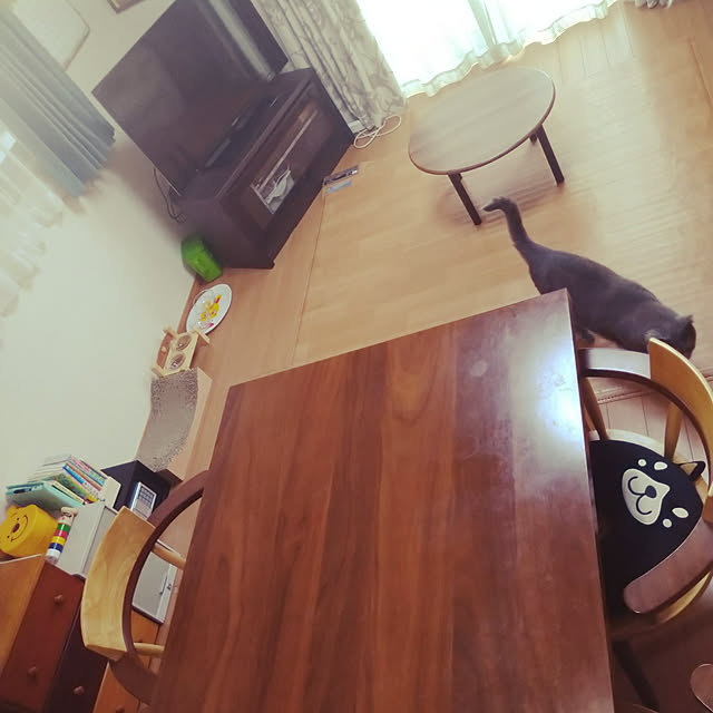 h-a-ri.mamaさんの実例写真