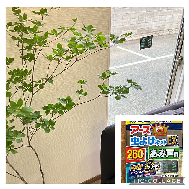 starfishさんの実例写真