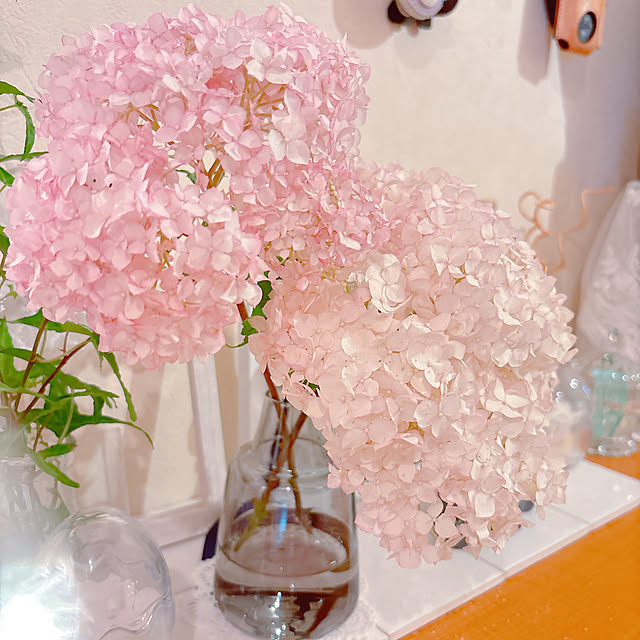 moolさんの部屋