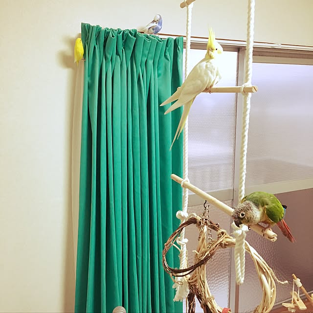 MEILIEさんの実例写真