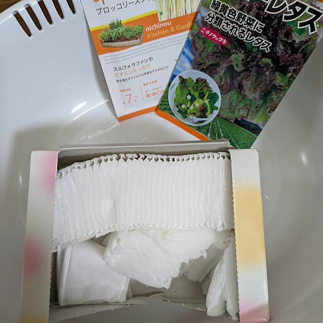 実例写真