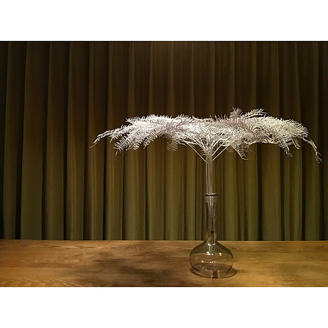 机/マンション暮らし/植物のある暮らし/ドライフラワー/マンションインテリアのインテリア実例 - 2018-07-09 20:13:49