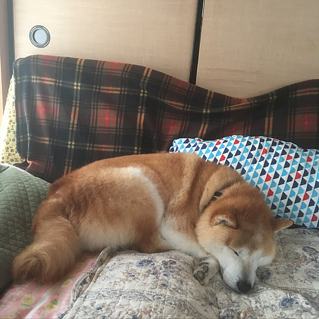 riyo11223rennさんの実例写真