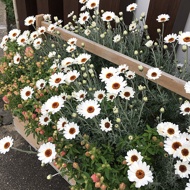 furu.さんの実例写真